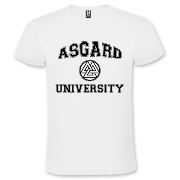 Polera Hombre Asgard